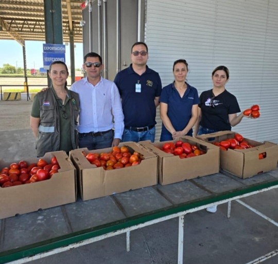 CNCSP emite los certificados de origen que contribuyeron al logro del productor nacional con la exportación de tomates a la Argentina